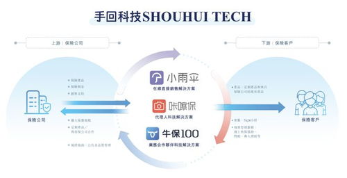 多重困境下的突圍 一家業(yè)務(wù)單一、屢遭波折的保險(xiǎn)科技中介，能否叩開(kāi)IPO之門(mén)？